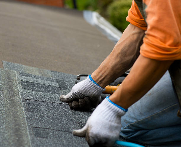 Best Storm Damage Roof Repair  in Sierra Vista, AZ